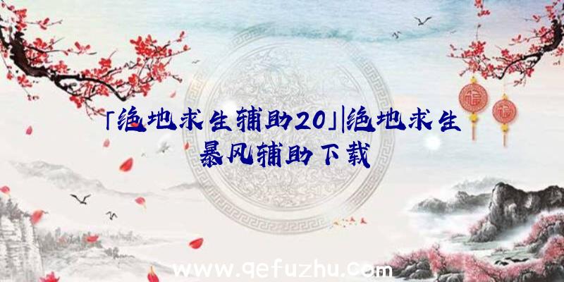 「绝地求生辅助20」|绝地求生暴风辅助下载